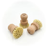 Eco Brush