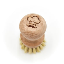  Eco Brush